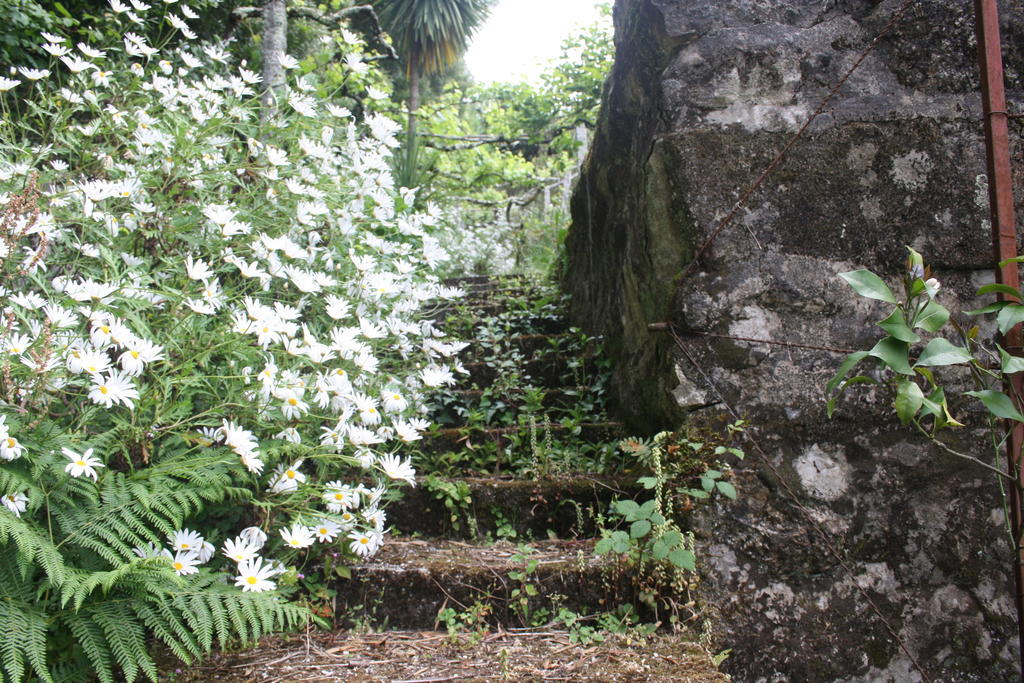 Quinta Das Leiras Santo Tirso Εξωτερικό φωτογραφία