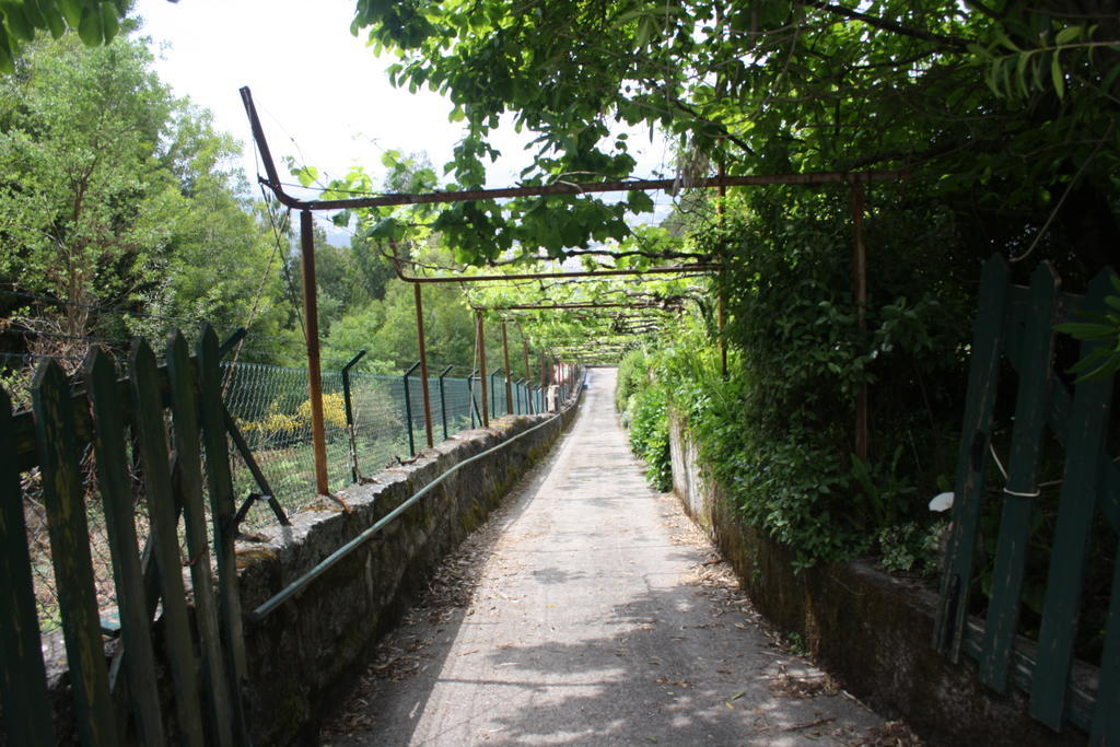 Quinta Das Leiras Santo Tirso Εξωτερικό φωτογραφία