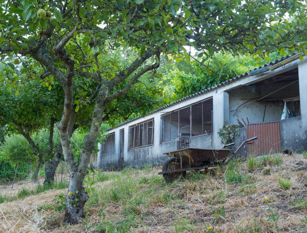 Quinta Das Leiras Santo Tirso Εξωτερικό φωτογραφία