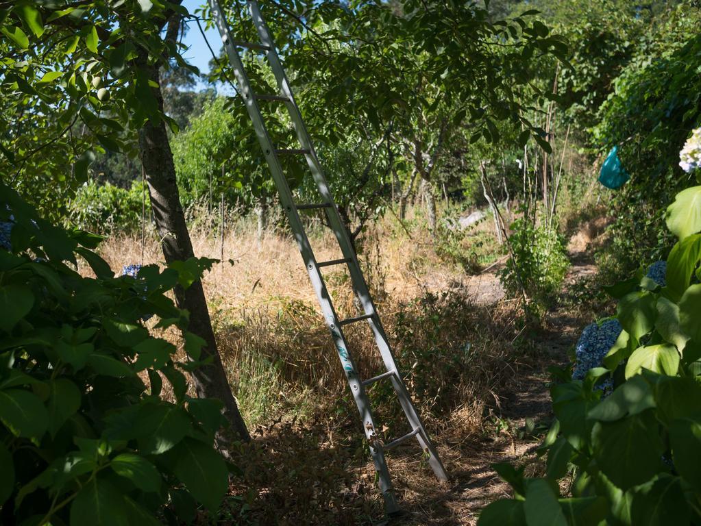 Quinta Das Leiras Santo Tirso Εξωτερικό φωτογραφία