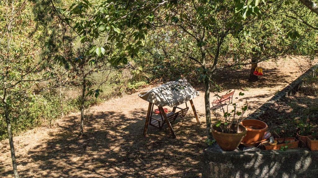 Quinta Das Leiras Santo Tirso Εξωτερικό φωτογραφία
